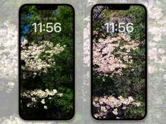 [배경화면]spring_set07