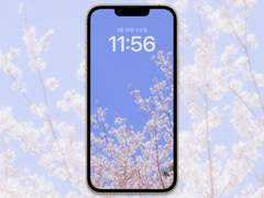 [무료배경화면]spring_02