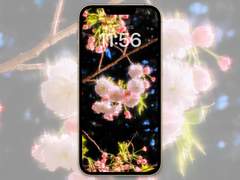 [배경화면]spring_02