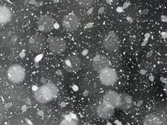 청명소소｜거친 붓질이 세상을 하얗게 덧칠한다.