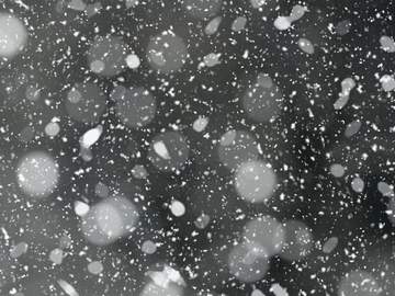 청명소소｜거친 붓질이 세상을 하얗게 덧칠한다.