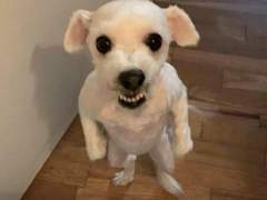 표민제 / XY / 3학년