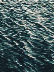 圣诞祭[自翻译]