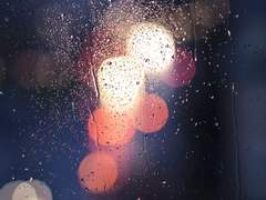 落花流水 (낙화유수) 下