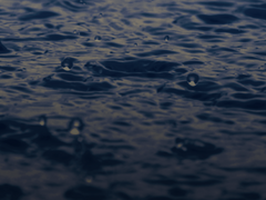 [우성명헌] 설원의 회신 下