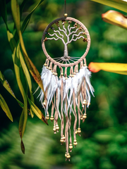 아티스트 [ 드림캐쳐 ]의 세계