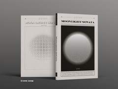 37. MOONLIGHT SONATA