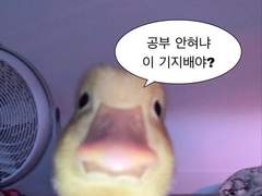 2주만에 등급이 올라가는 방법