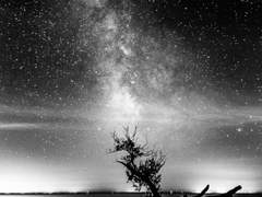 [Monos] 눈부신 밤