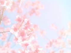 아키히로 리에 (리예)