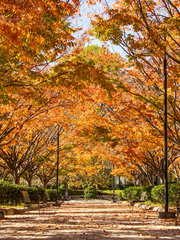 가면라이더 블레이드