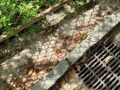 D+51 디지털 디톡스 시작!