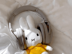 수인의 세계에서 살아남기