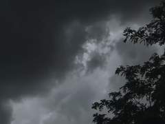 𝓟𝓻𝓸𝓳𝓮𝓬𝓽𝓲𝓸𝓷