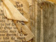 사라지는 것들을 위하여(2)