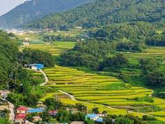 집착 비스무리 하는 양떤남자