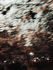 [쥬빵] 서리다 ; 마음이 엉기고 어리어 깊이 얼크러지다.