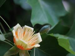 우리의 봄은 여기에 있어