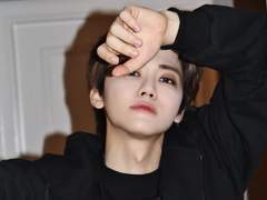 입헌군주제에 센티넬 넣고 … 2