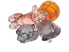 [백호태웅/하나루] 백업이란 거