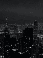 Elephant In The Room