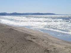 센티멘탈 가이드 5 (완결)