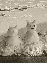 능소 비공개 글