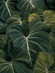 사랑해서 미안해