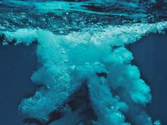 수조의 천장엔 하늘이 있다.