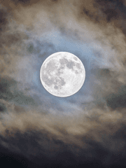 잠룡야담(潛龍野談)