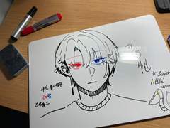 쓰라는 소설은 안쓰고 그림 그리는 작가