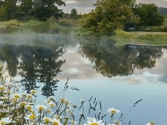 오늘 내 운은 어떨까? 너는 어떻게 생각하니?