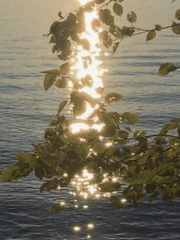 [플롯] Guide Guide