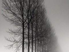 항상 날 따라다니던 7명의 귀신