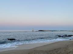 [호열백호] 바다에서 피는 꽃(상)