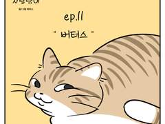 🐱우리집 지랄냥이 : 11화🐱