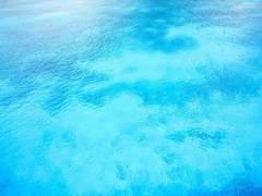 생애는 앎의 파도에 잠식되기 마련이라.