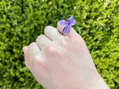 [함글] 봄꽃맞이(1)