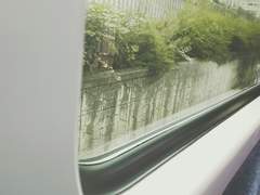 뒤쳐지는 속도의 소리