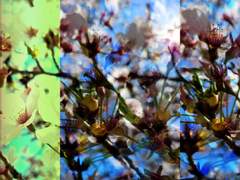 중독 또는 환희