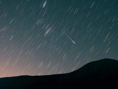 [림버스] DB050, VB013, VM140