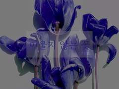 [문덕무사] 이울지 않는 꽃 5