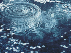 총비이야기 寵妃物語 5 (完)