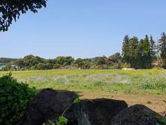 [이제노] 하도리 동동 23