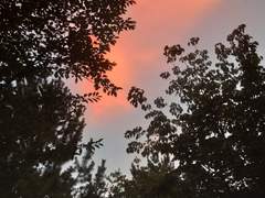 당신이 정말 미워요. 당신을 정말 사랑해요.