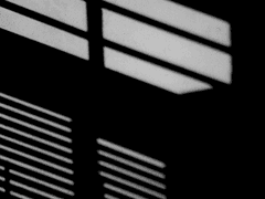 찬란한 낮도 계속되면 백야라고 하는데