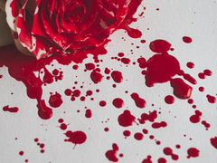 경위님 어디계세요 시리즈 조회수300넘은 기념1