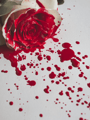 경위님 어디계세요