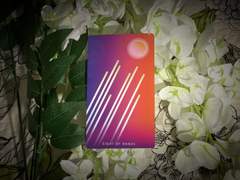 이번 주의 카드: 8 of Wands