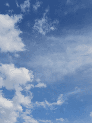 농구소년배구소녀